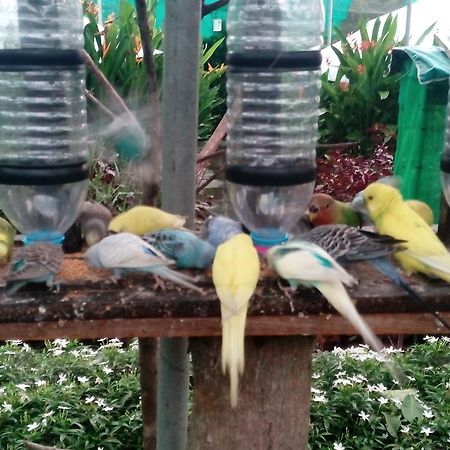 T Garden Villa Pantai Cenang  Dış mekan fotoğraf