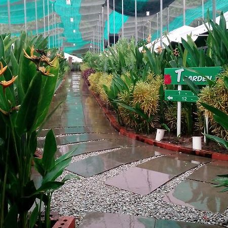 T Garden Villa Pantai Cenang  Dış mekan fotoğraf