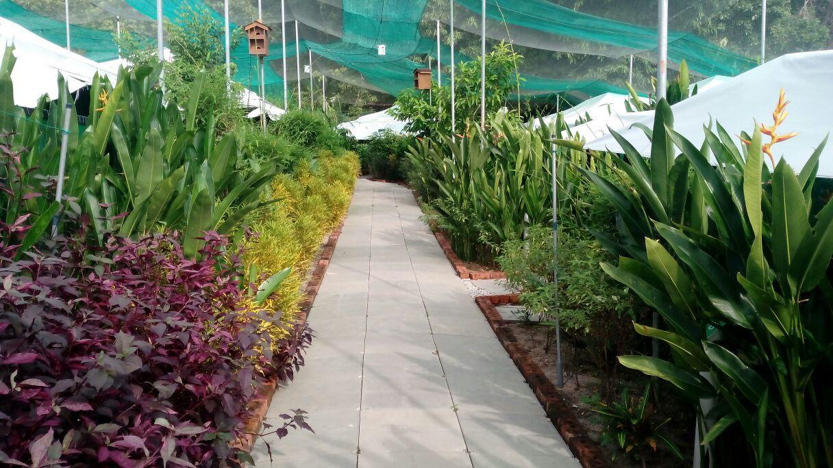 T Garden Villa Pantai Cenang  Dış mekan fotoğraf
