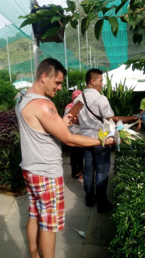 T Garden Villa Pantai Cenang  Dış mekan fotoğraf