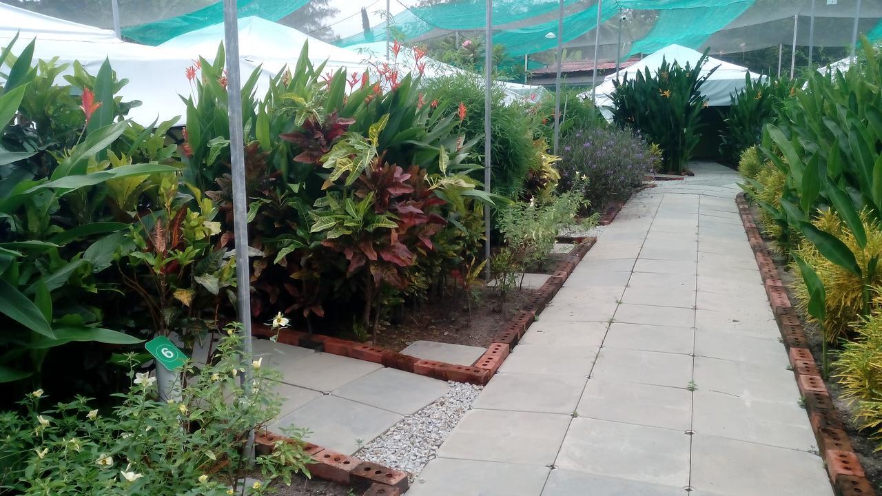 T Garden Villa Pantai Cenang  Dış mekan fotoğraf