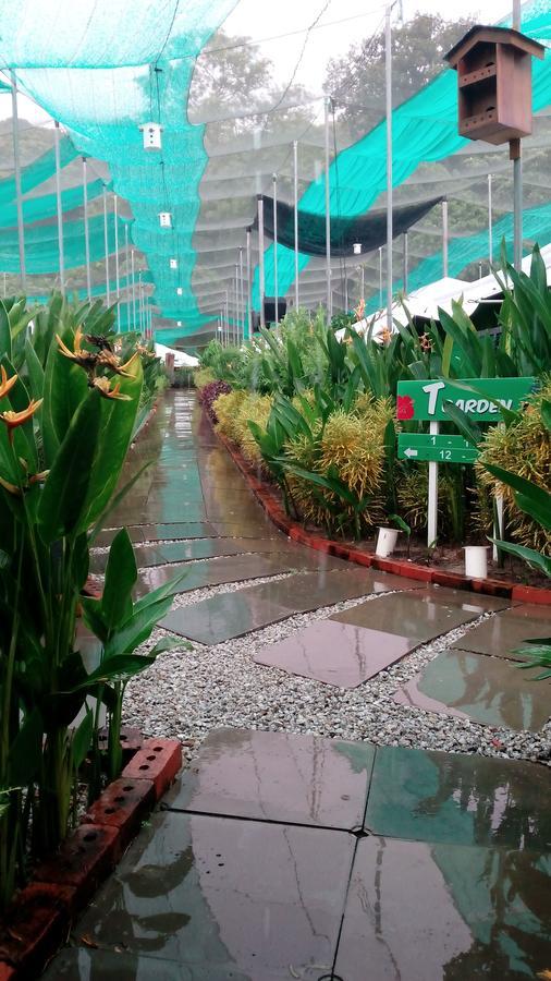 T Garden Villa Pantai Cenang  Dış mekan fotoğraf