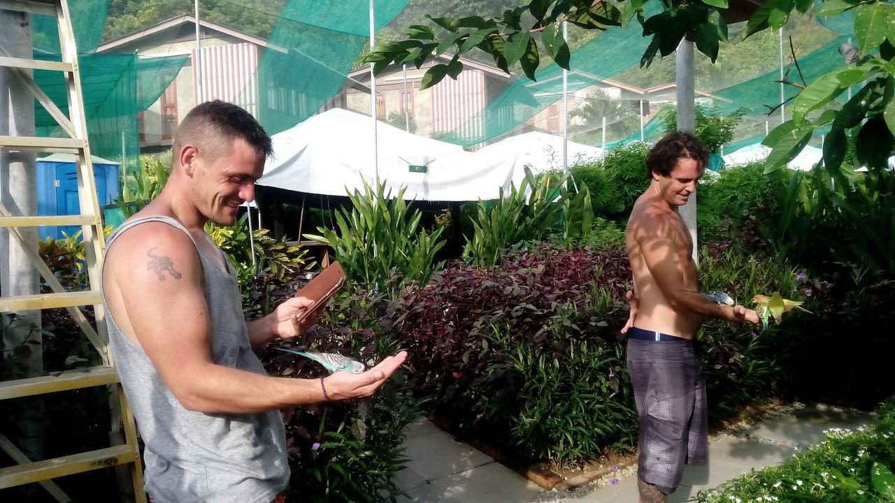 T Garden Villa Pantai Cenang  Dış mekan fotoğraf