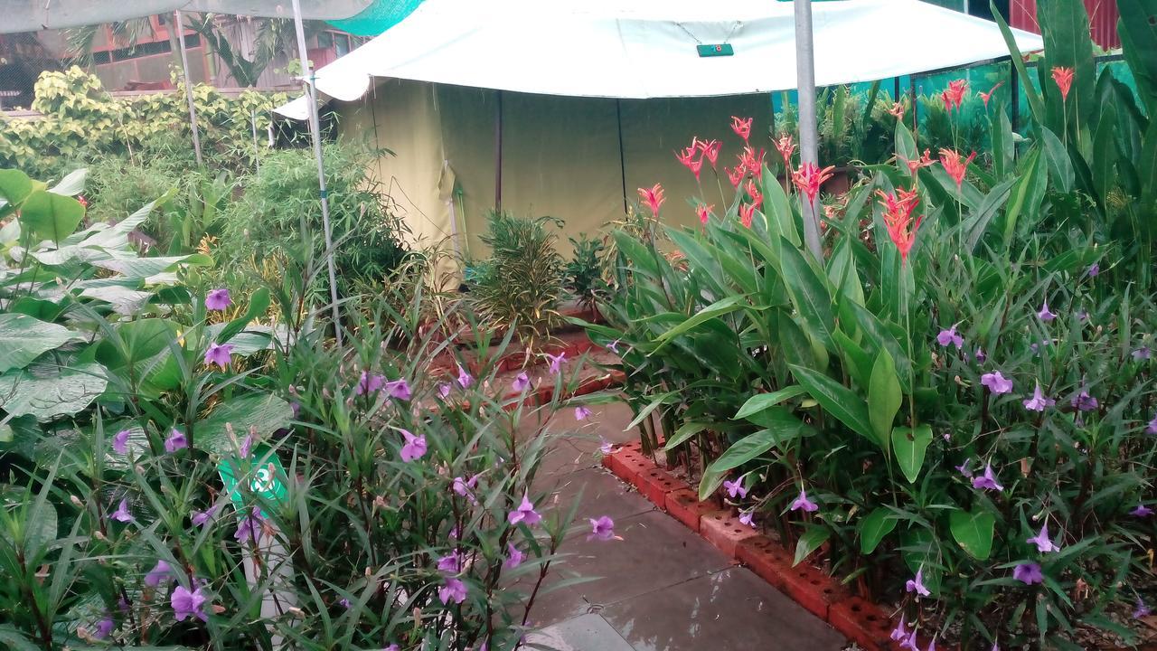 T Garden Villa Pantai Cenang  Dış mekan fotoğraf