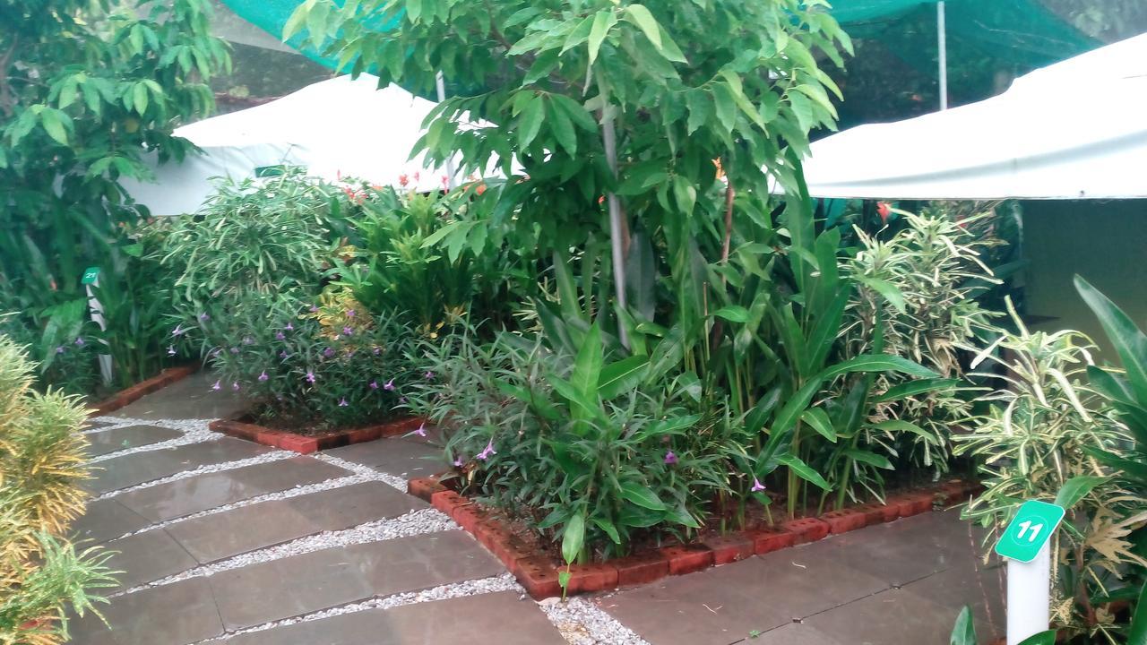 T Garden Villa Pantai Cenang  Dış mekan fotoğraf
