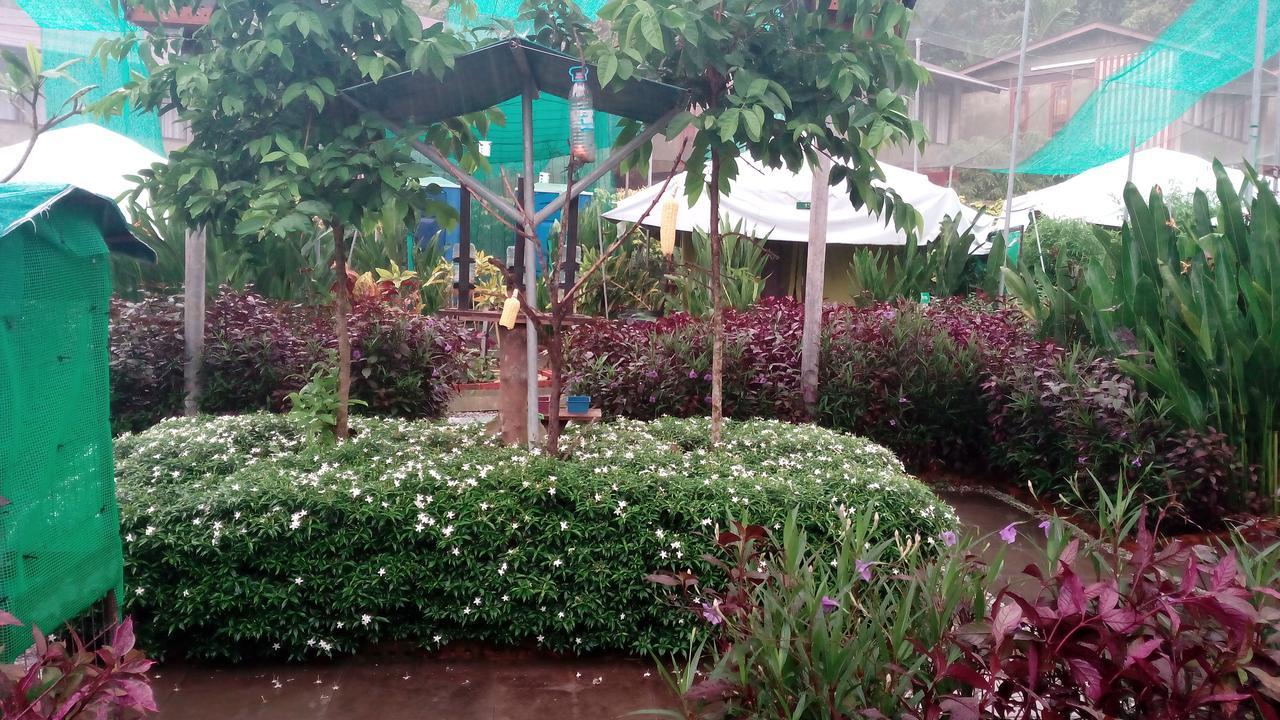 T Garden Villa Pantai Cenang  Dış mekan fotoğraf