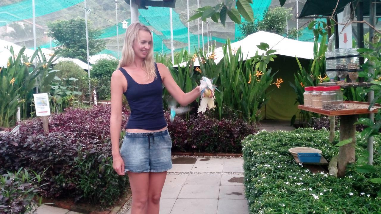 T Garden Villa Pantai Cenang  Dış mekan fotoğraf